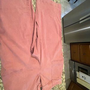 Stone washed ankle pants in size 16 petite